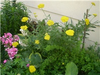ec820ef8-Picture 6098.jpg